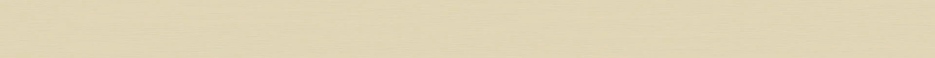 Design Lamelle R13 (Jalousie)